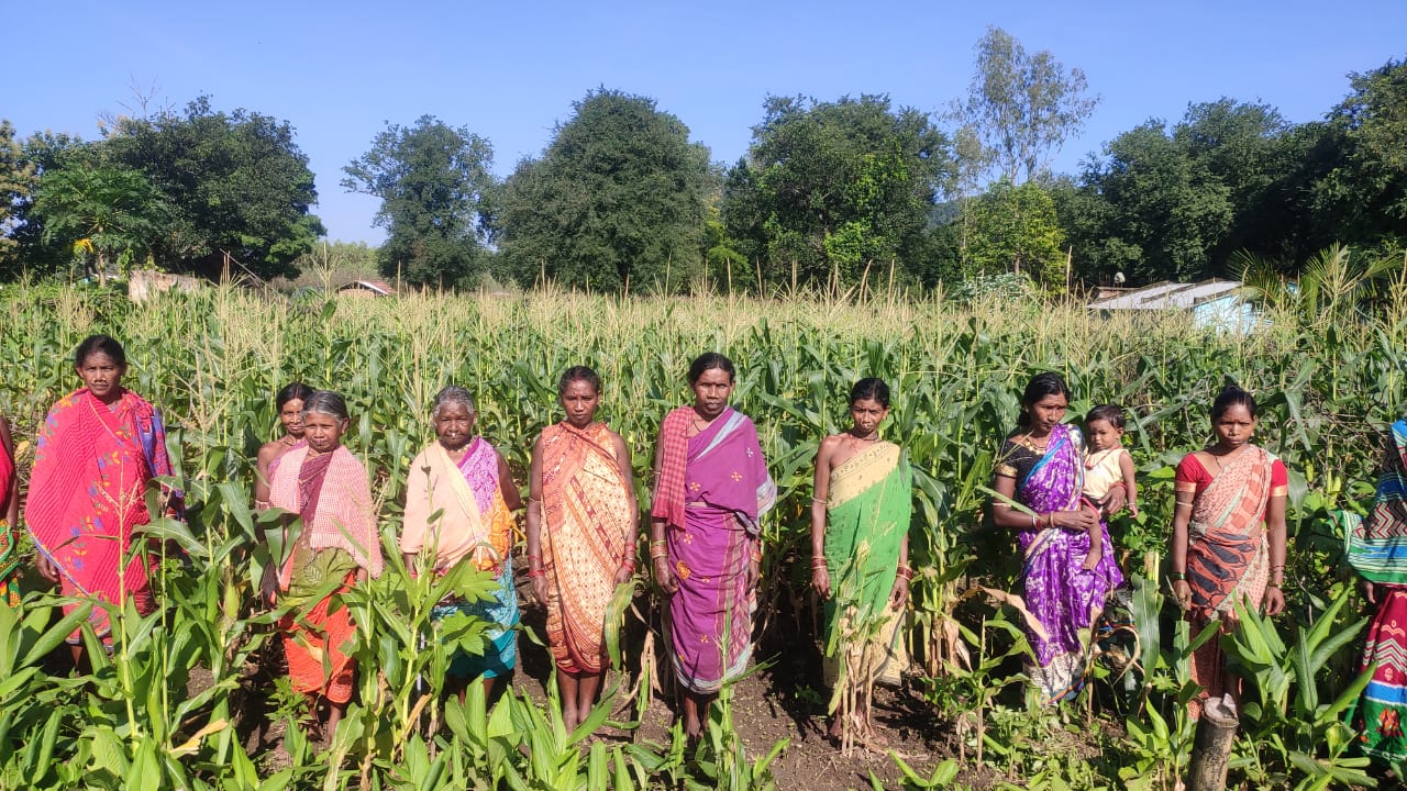 Self-sufficiency in Women through Vegetable Cultivation