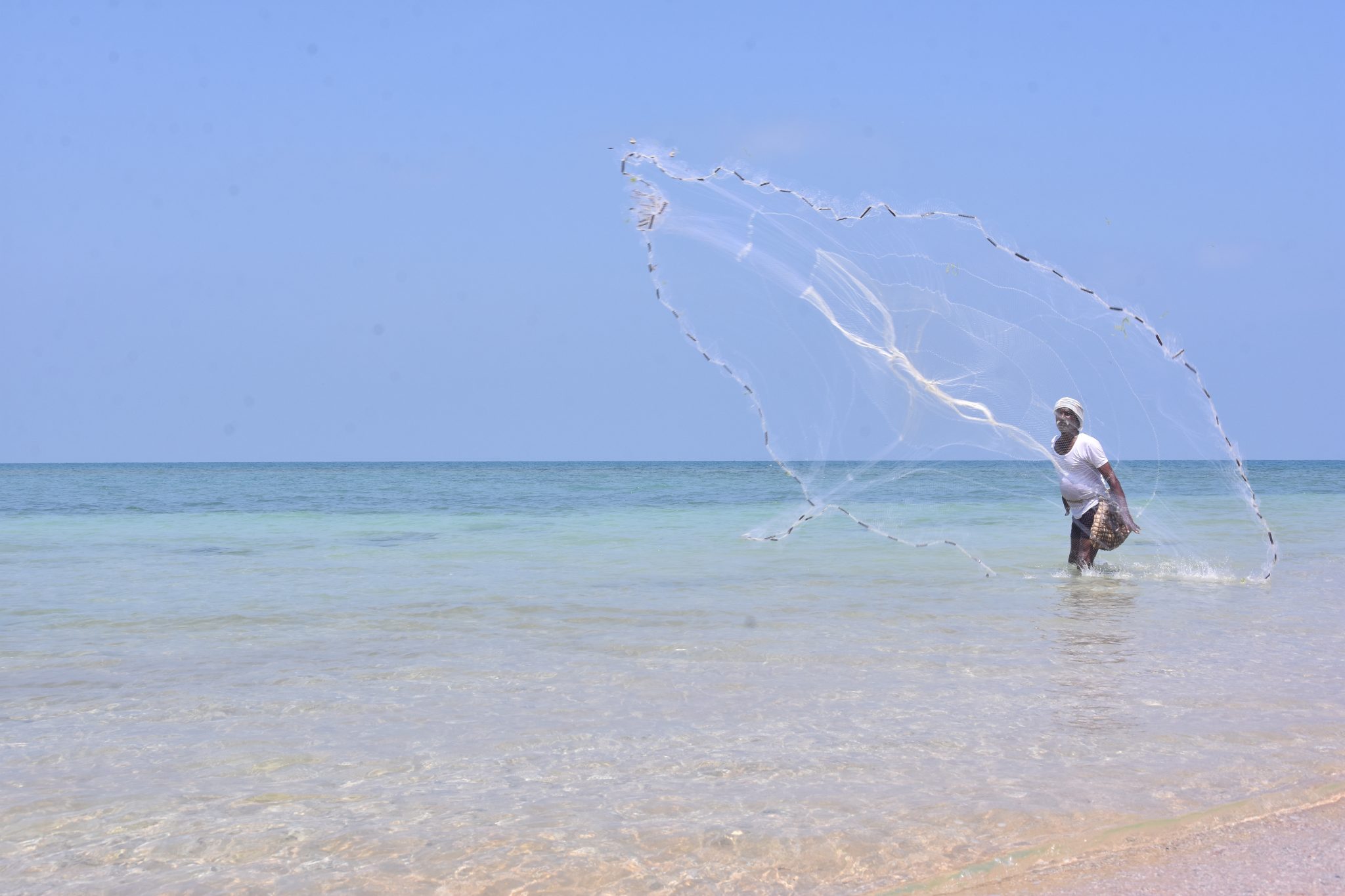 Protecting marine animals and fishermen with FFMA