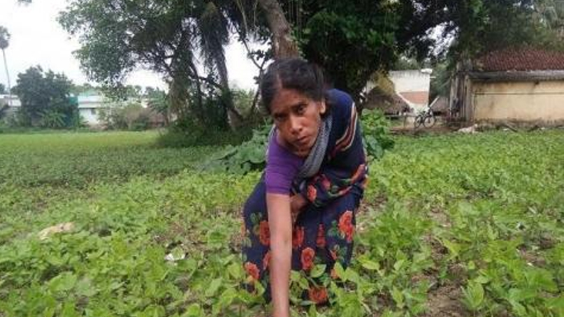 Post Covid-19 – Agriculture work and women
