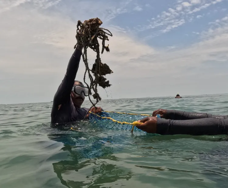 Ghost Gear