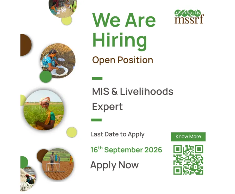 MIS & Livelihoods Expert 