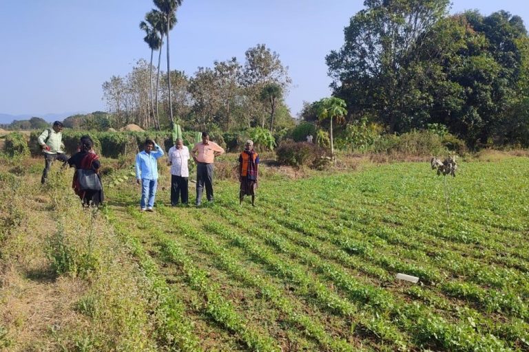 Scientists From Various Institutions Visit MSSRF Field Sites In Odisha